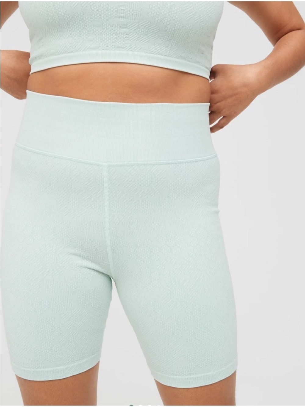 aerie Light Mint Green Textured Bike Shorts